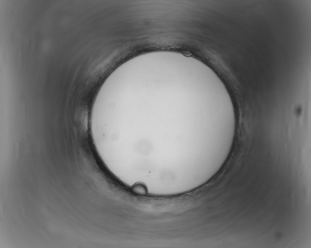 X0000116370021200912231325