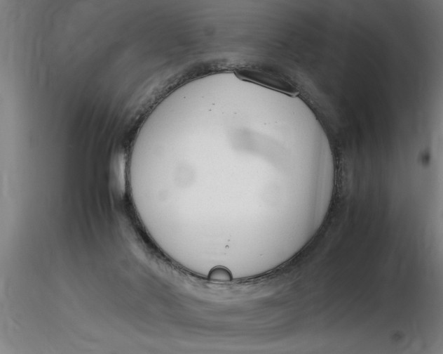 X0000116370022200912231325