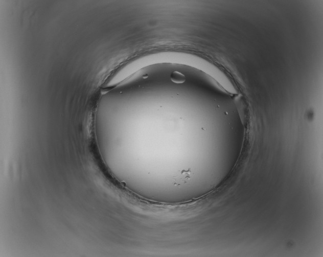 X0000116370023200912231325