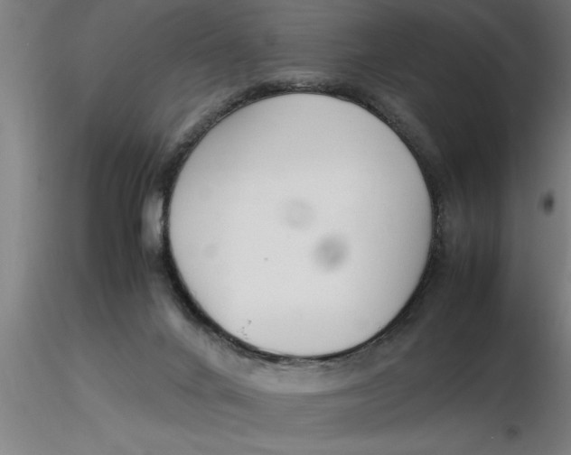 X0000116370024200912231325