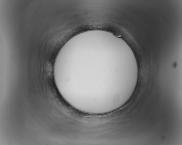 X0000116370025200912231325