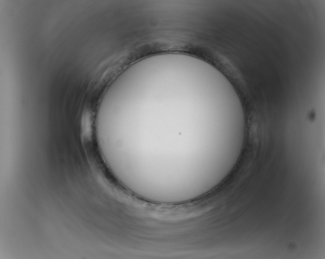 X0000116370026200912231325