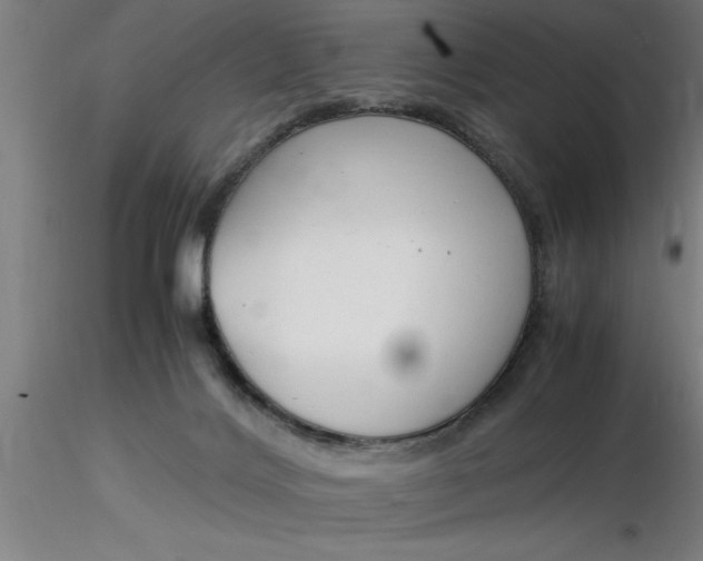 X0000116370028200912231325