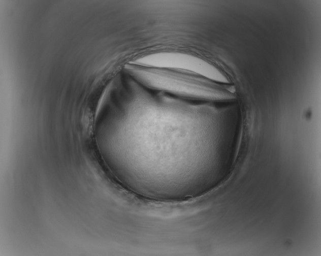 X0000116370029200912231325