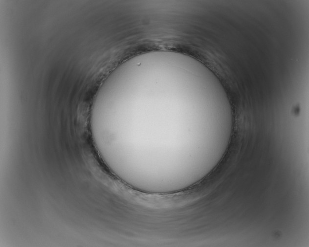 X0000116370030200912231325