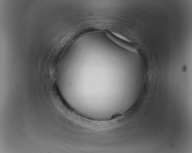 X0000116370031200912231325