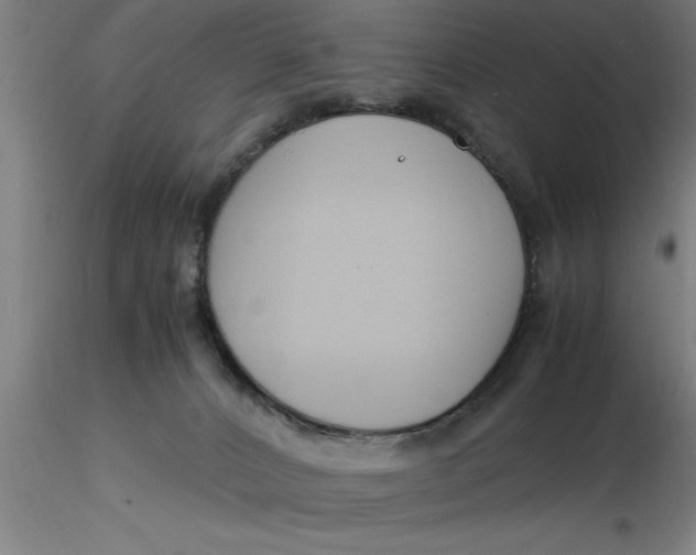 X0000116370032200912231325