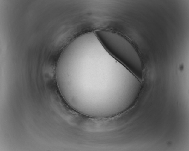 X0000116370033200912231325