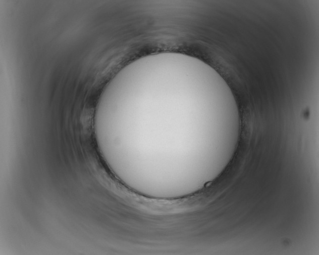 X0000116370034200912231325