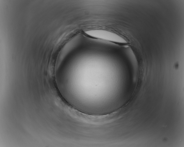 X0000116370035200912231325