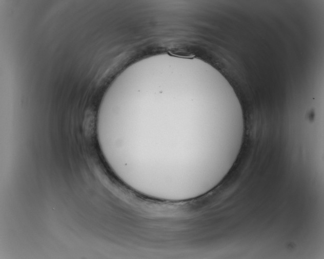 X0000116370036200912231325