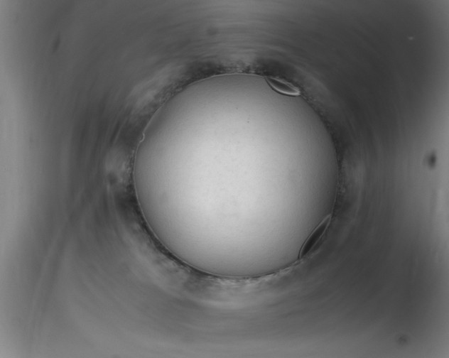 X0000116370037200912231325