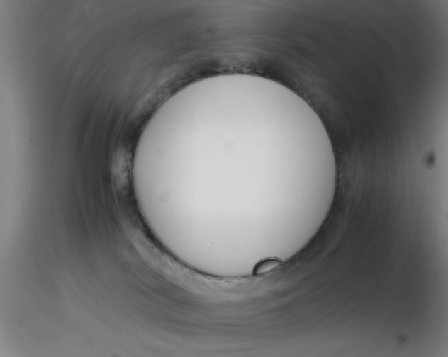 X0000116370038200912231325