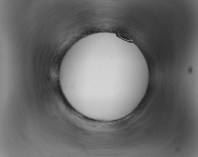 X0000116370040200912231325