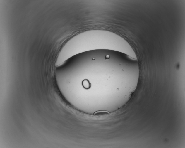 X0000116370043200912231325