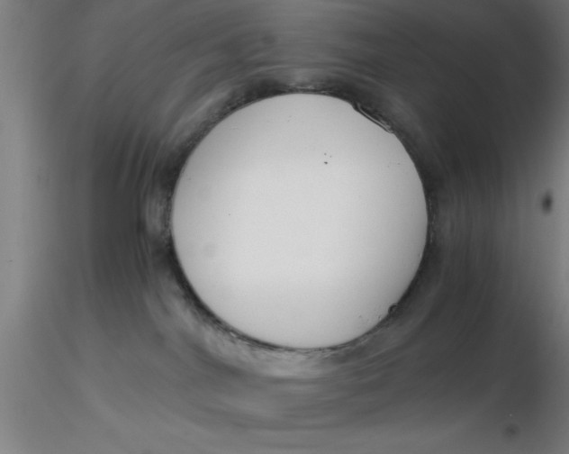 X0000116370044200912231325