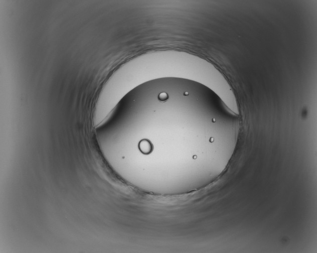 X0000116370045200912231325