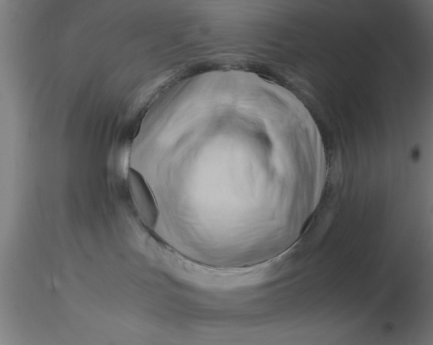 X0000116370047200912231325