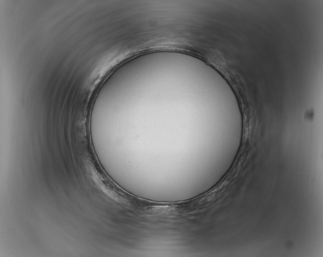 X0000116370050200912231324