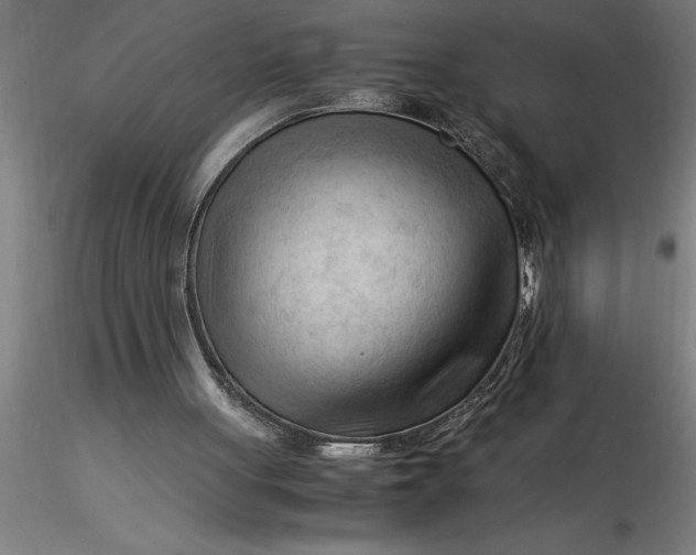 X0000116370051200912231324