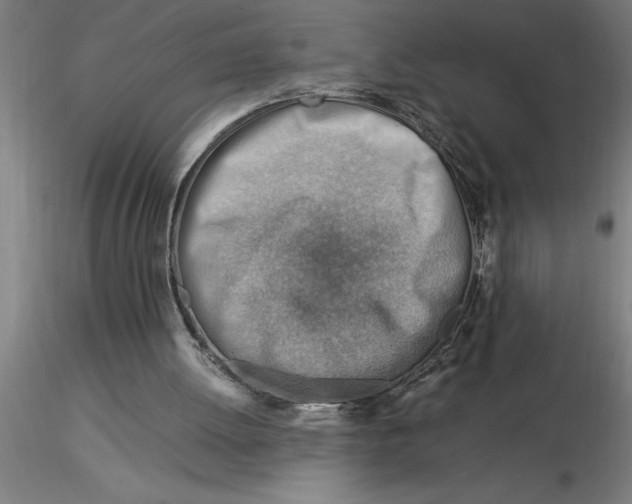 X0000116370052200912231324