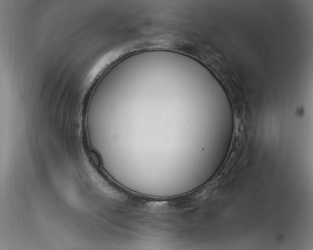 X0000116370054200912231324