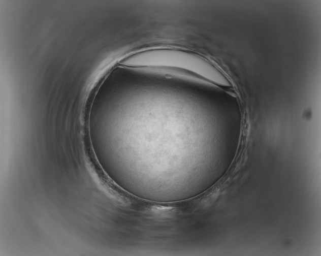 X0000116370055200912231324