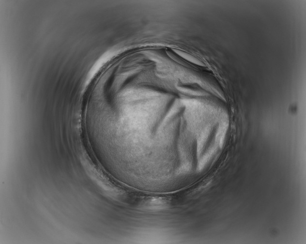 X0000116370056200912231324