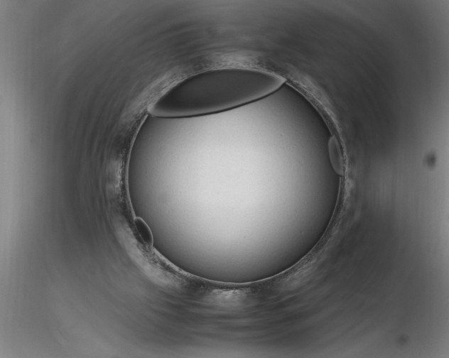 X0000116370057200912231324