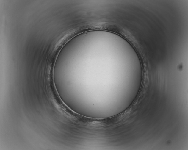 X0000116370058200912231324