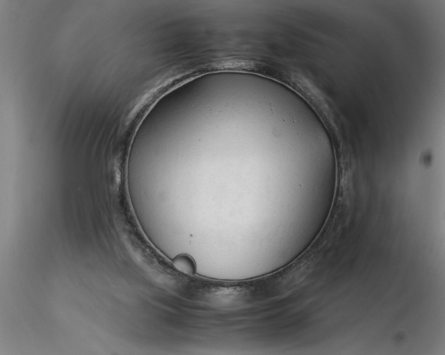 X0000116370059200912231324