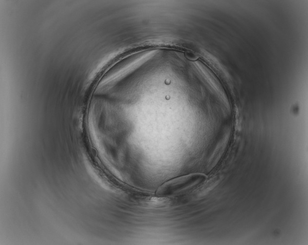 X0000116370060200912231324