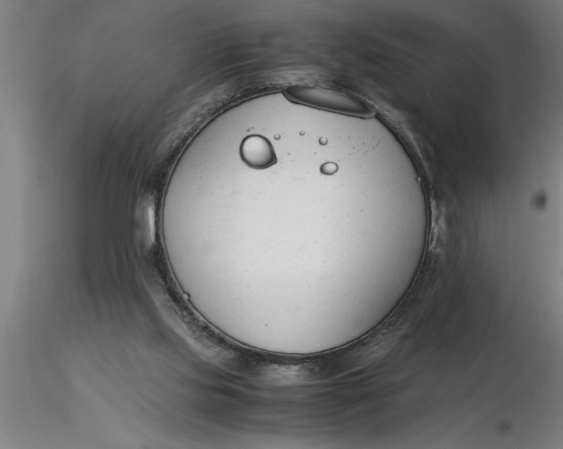 X0000116370061200912231324