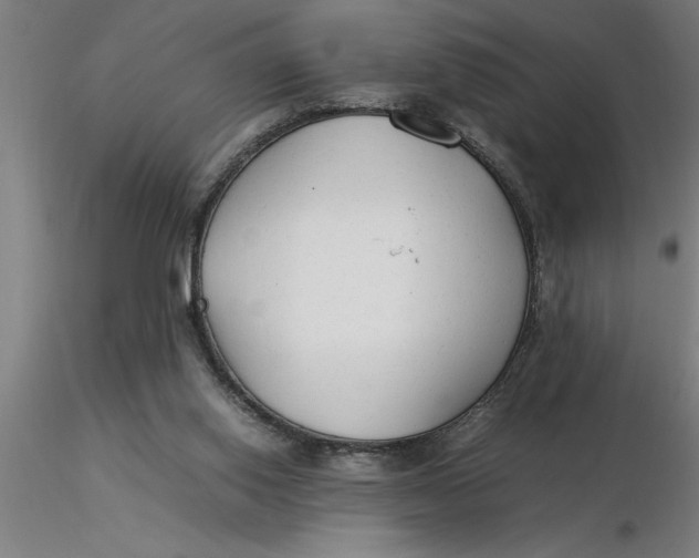 X0000116370062200912231324