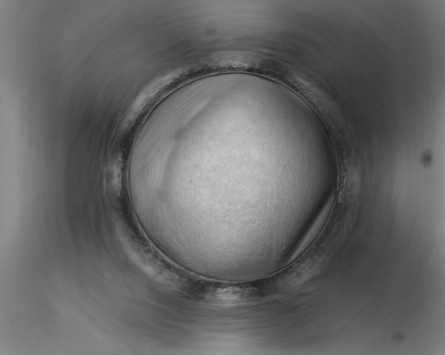 X0000116370064200912231324