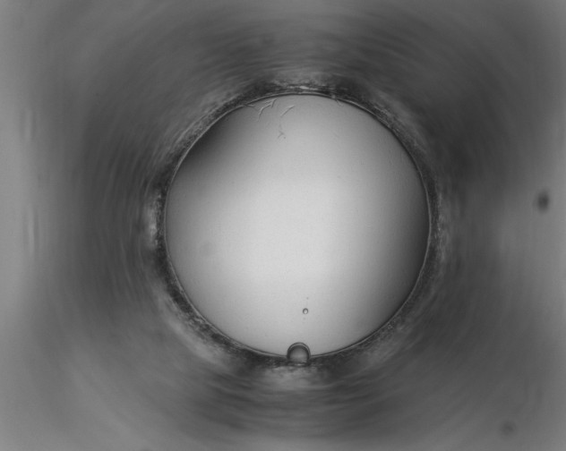 X0000116370065200912231324