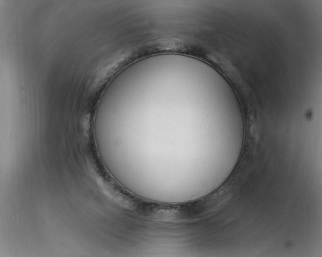 X0000116370066200912231324