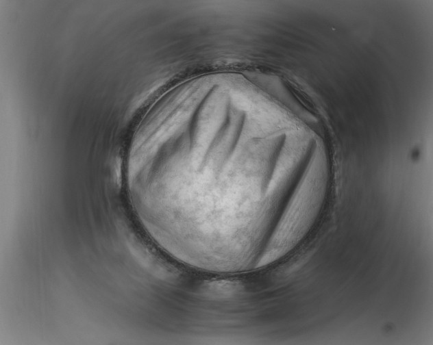 X0000116370067200912231324