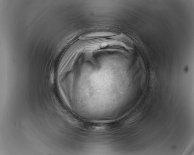 X0000116370068200912231324