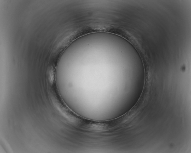 X0000116370069200912231324