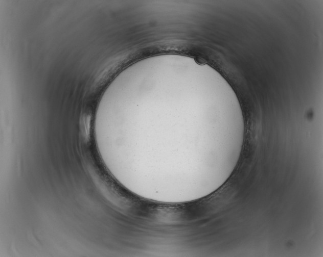 X0000116370070200912231324