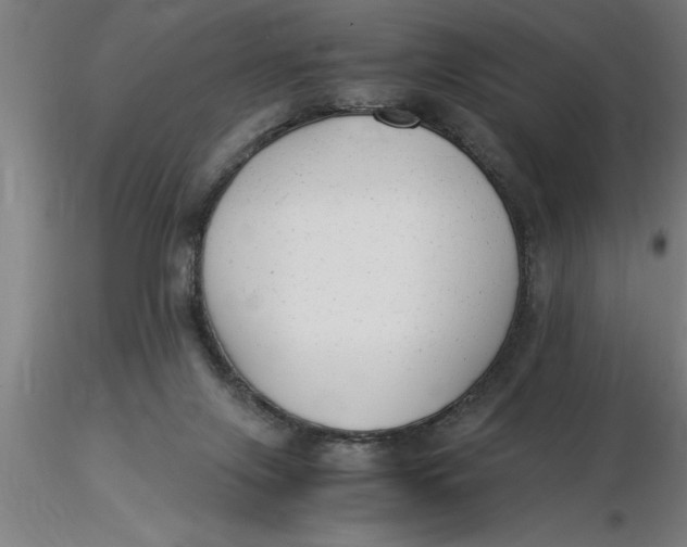 X0000116370071200912231324