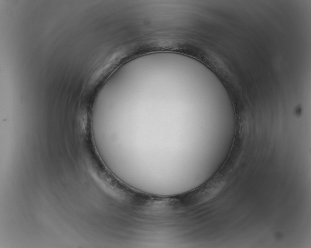 X0000116370072200912231324