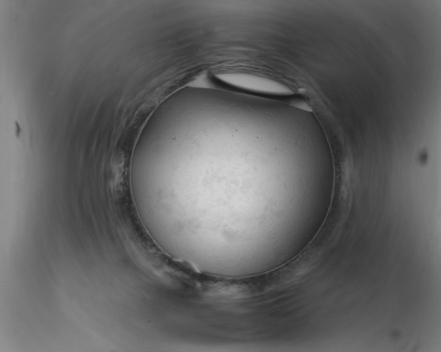 X0000116370073200912231324