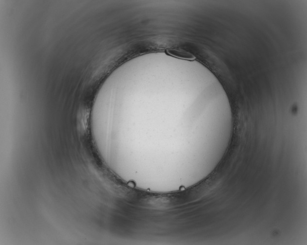 X0000116370075200912231324