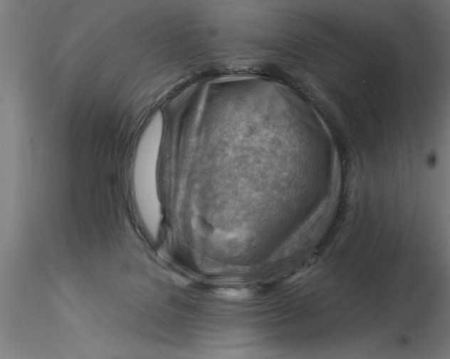 X0000116370076200912231324