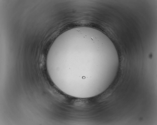 X0000116370077200912231324