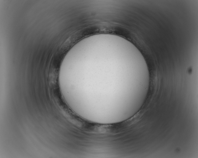 X0000116370078200912231324