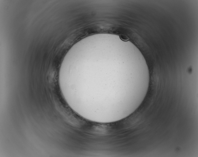 X0000116370079200912231325