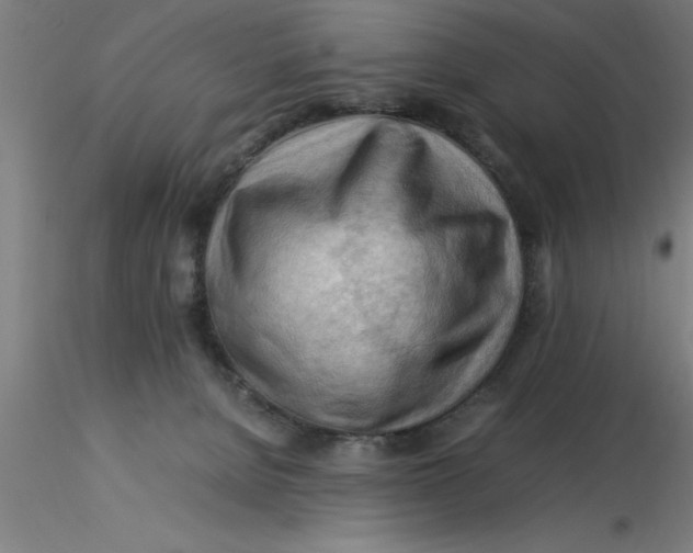 X0000116370080200912231325